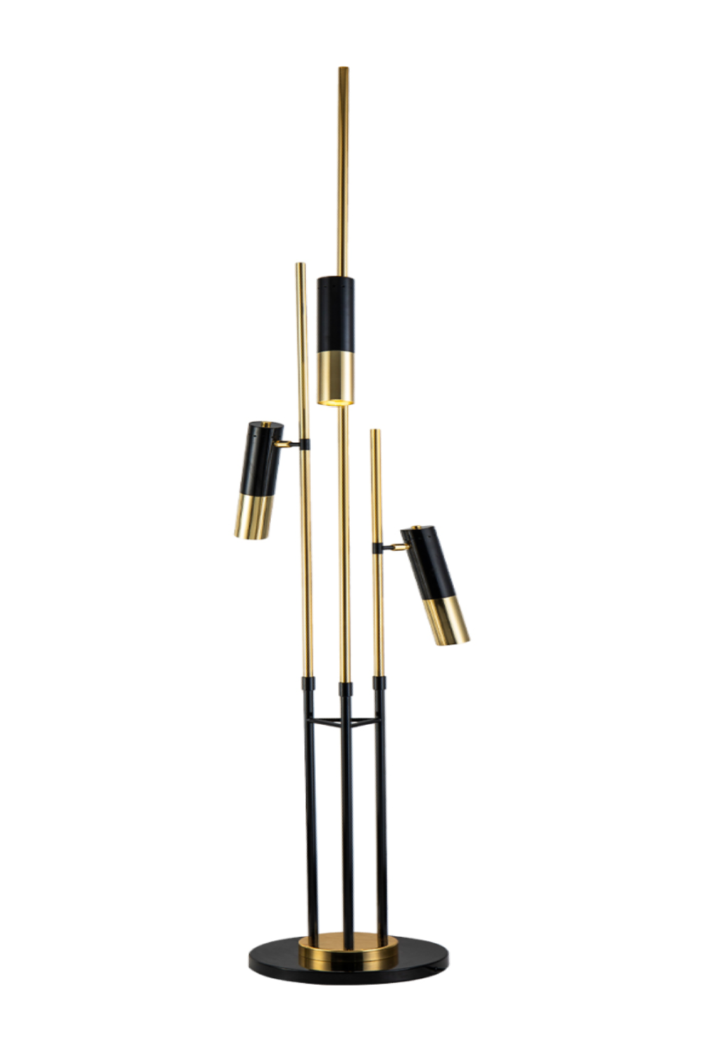 Black & Gold Metal Floor Lamp | Liang & Eimil Trevecca | Oroa.com