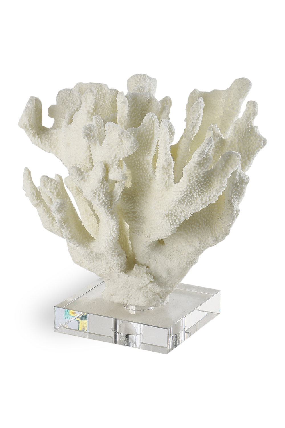White Coral Sculpture, Liang & Eimil Rara