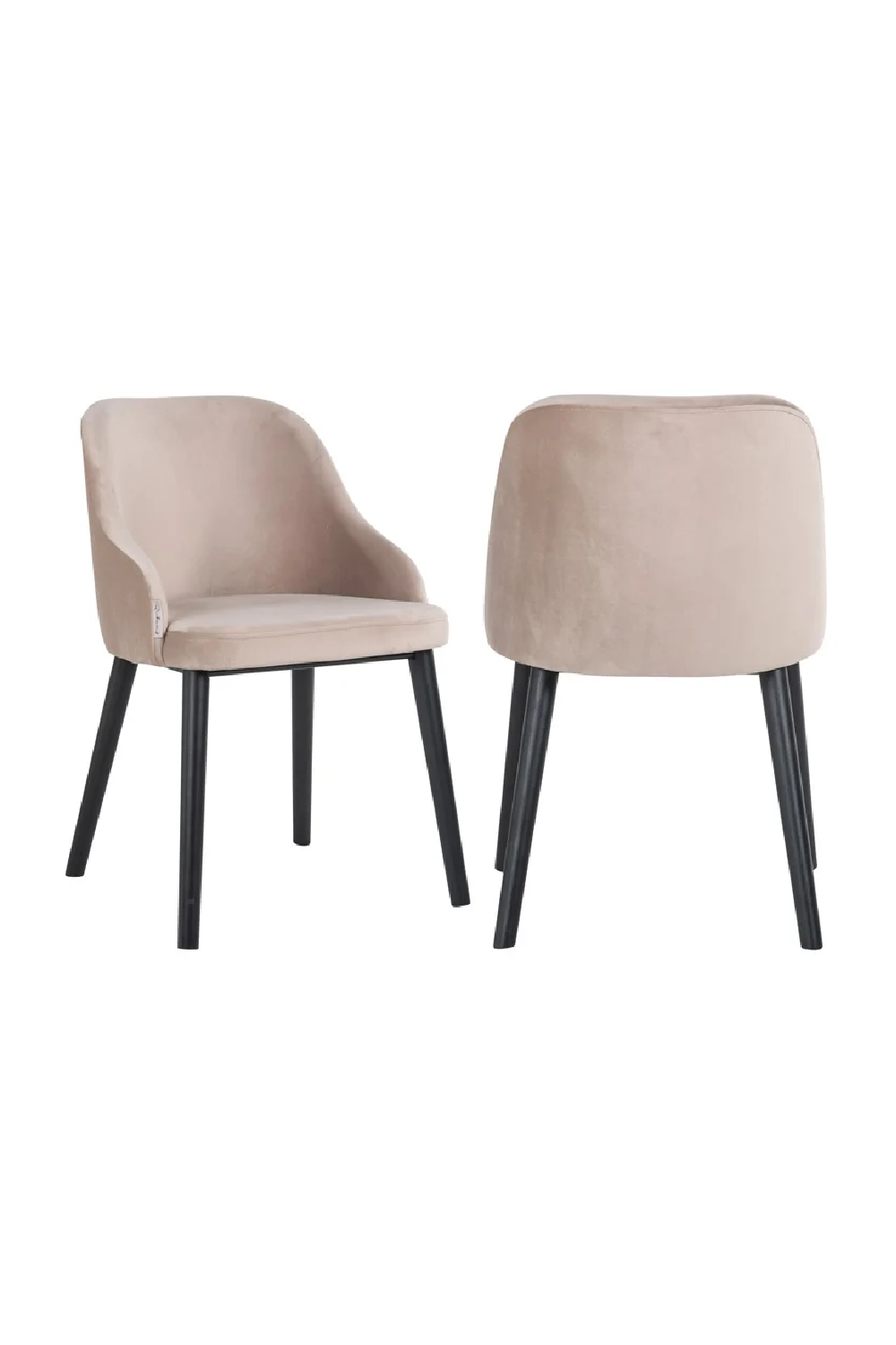 Modern Minimalist Dining Chair | Richmond Interiors Twiggy | Oroa.com