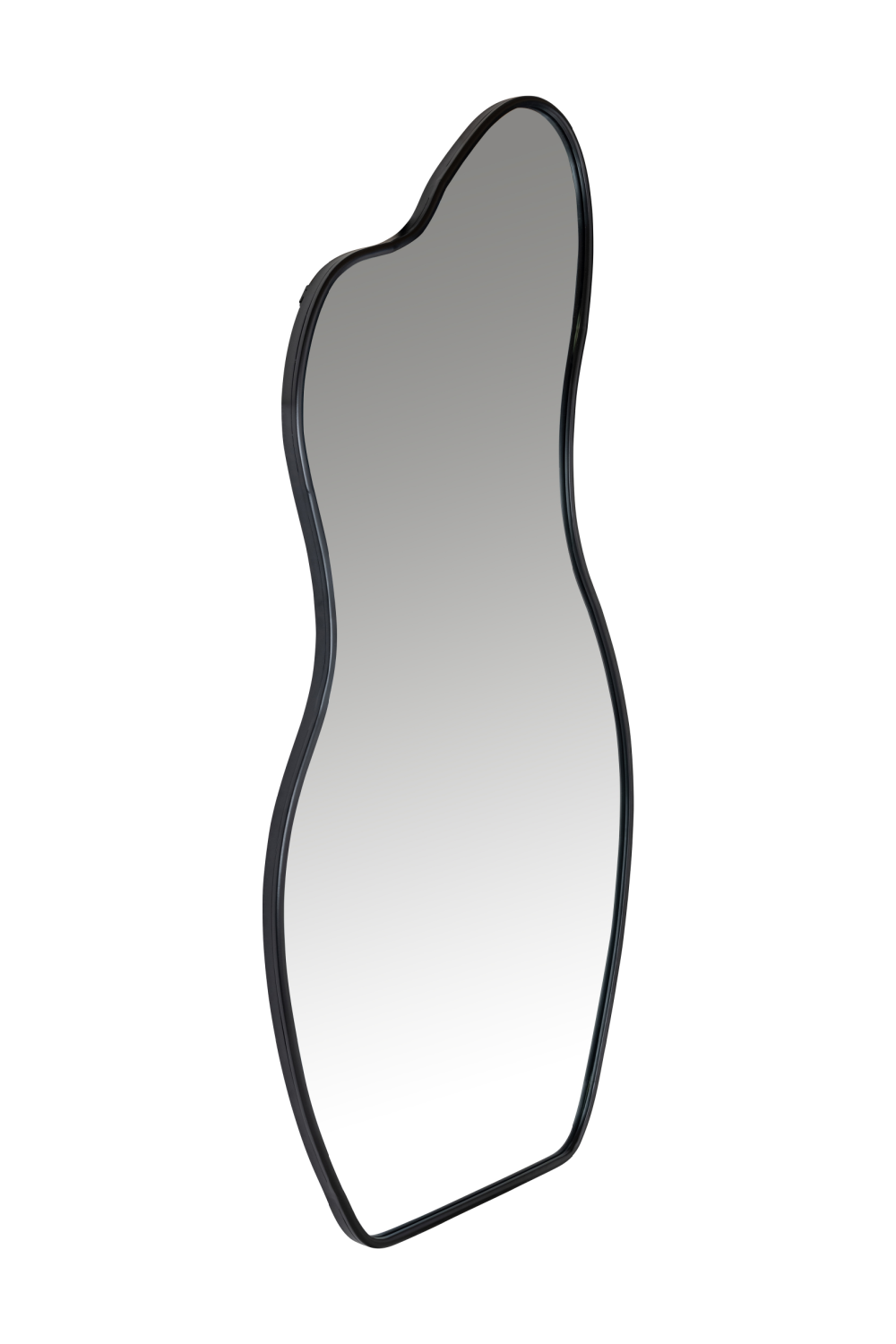 Organic-Shaped Contemporary Mirror | Richmond Interiors Aldon | Oroa.com