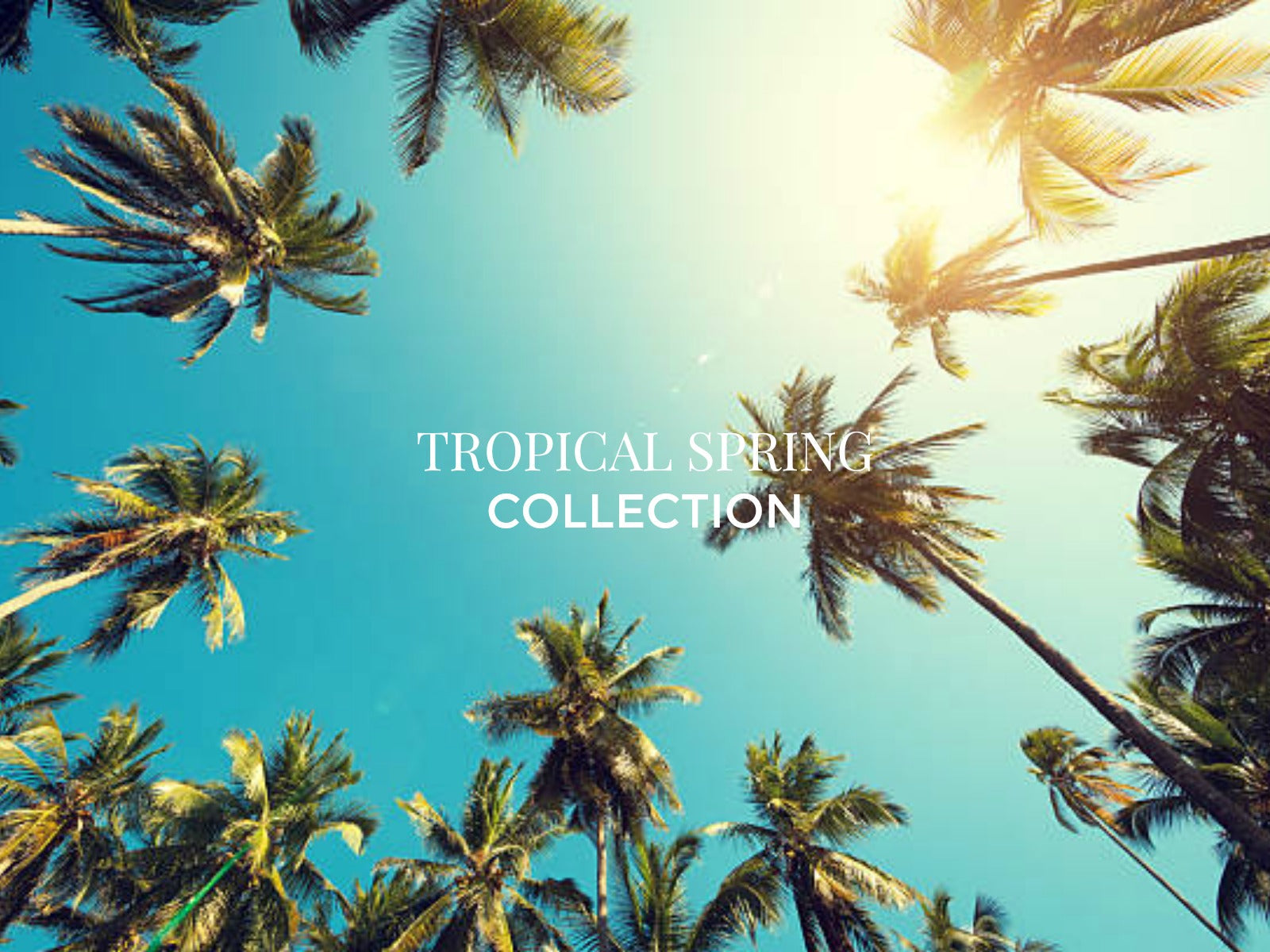 tropical interior