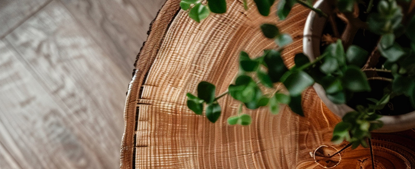 Sustainable Furniture Are Shaping Modern Living Spaces