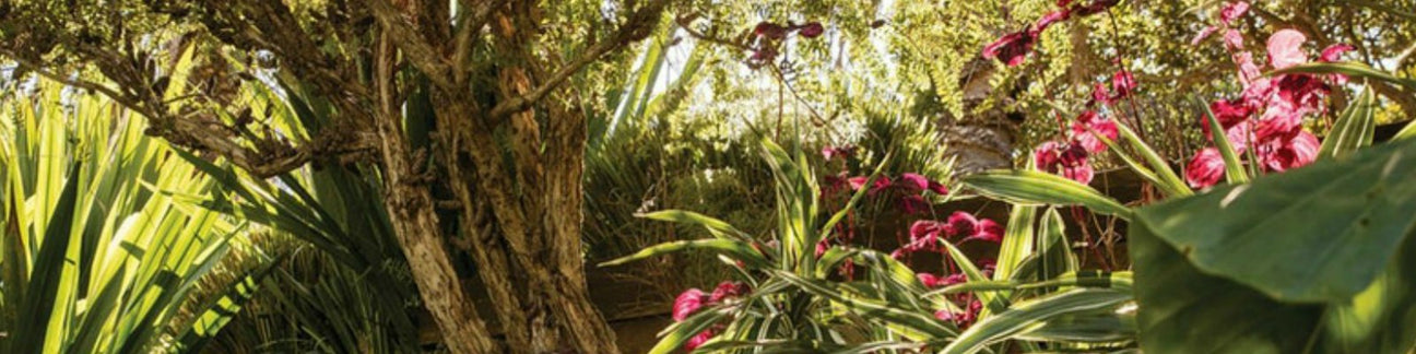 LUXURY GARDEN PARTY DECOR