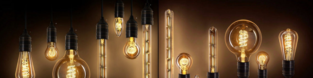 Bulbs
