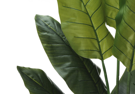 Tall Artificial Strelitzia Tree Indoor Plant - Natural Look