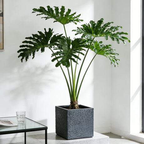 Large Outdoor Indoor Magnesium Oxide Planter (S/4)