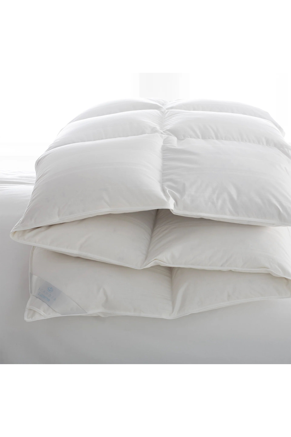 350TC Sateen Piping King Comforter | Scandia Lucerne | Oroa.com