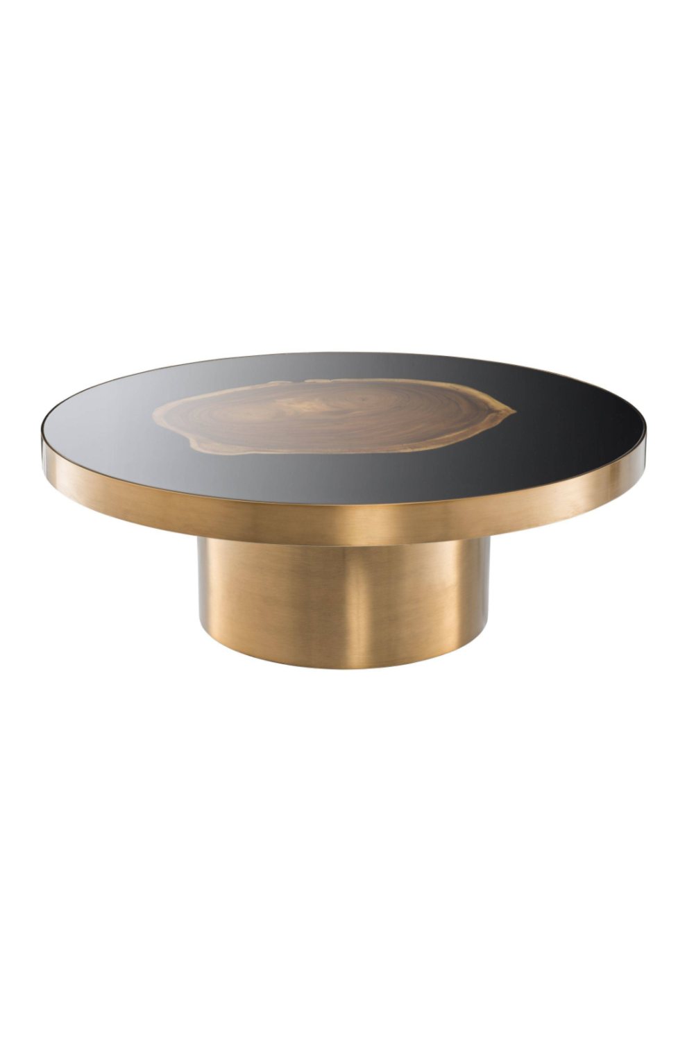 Golden Petrified Coffee Table | Eichholtz Concord | OROA.com