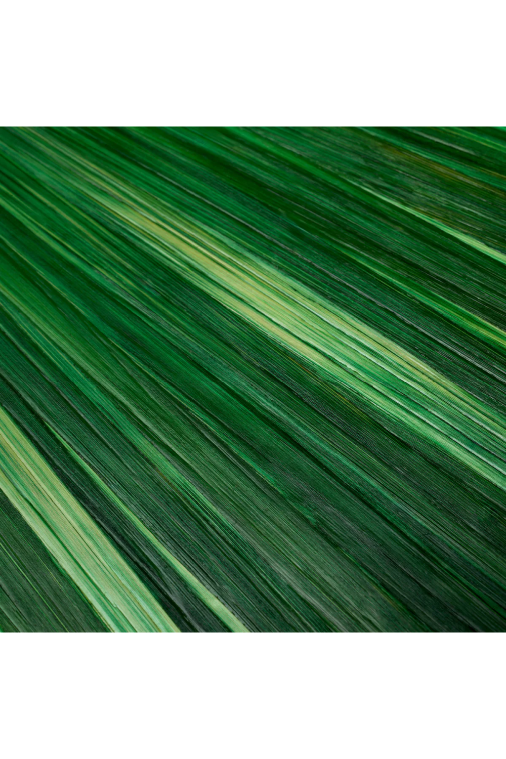 Green Marquetry Desk Tray | Eichholtz Harvard | Oroa.com