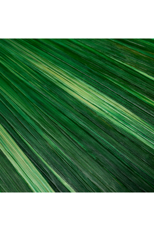 Green Marquetry Desk Tray | Eichholtz Harvard | Oroa.com