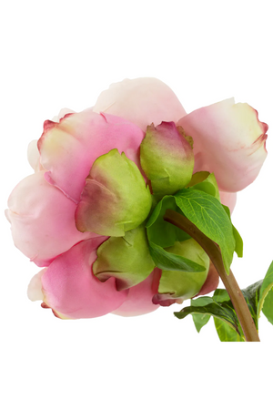 Artificial Blooms Bouquet (48pcs) | Eichholtz Peonies | Oroa.com