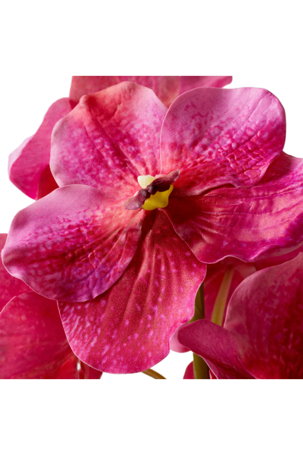 Artificial Orchids Bouquet (24pcs) | Eichholtz Vanda | Oroa.com