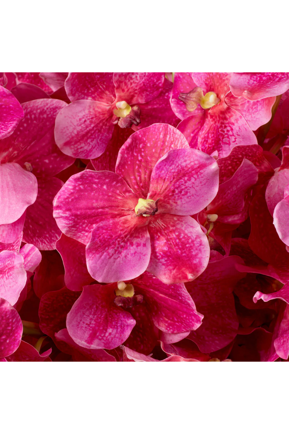 Artificial Orchids Bouquet (24pcs) | Eichholtz Vanda | Oroa.com