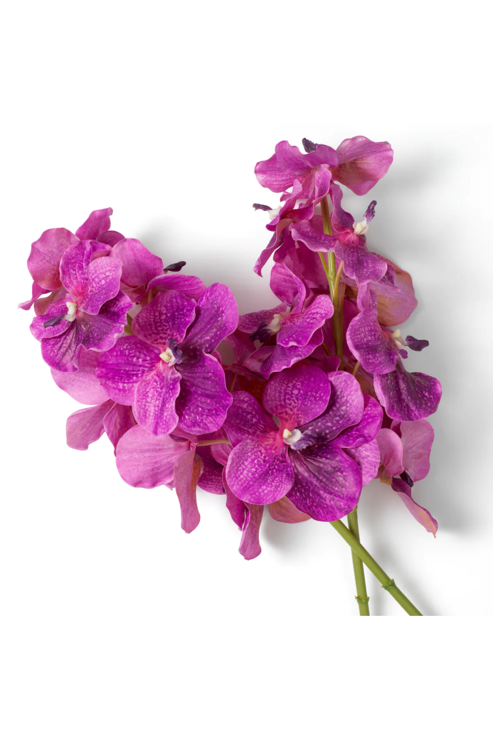 Artificial Orchids Bouquet (24pcs) | Eichholtz Vanda | Oroa.com