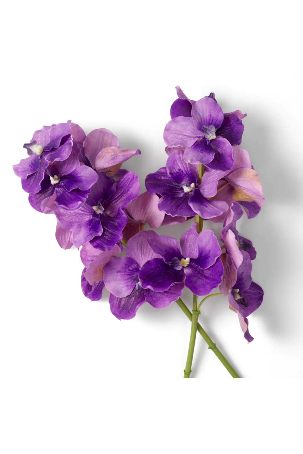 Artificial Orchids Bouquet (24pcs) | Eichholtz Vanda | Oroa.com