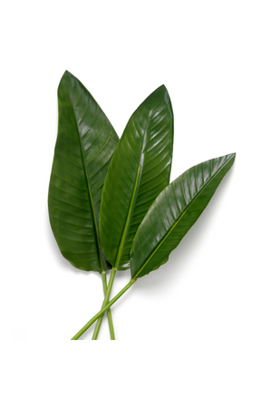 Artificial Green Leaves (36) | Eichholtz Strelitzia | Oroa.com