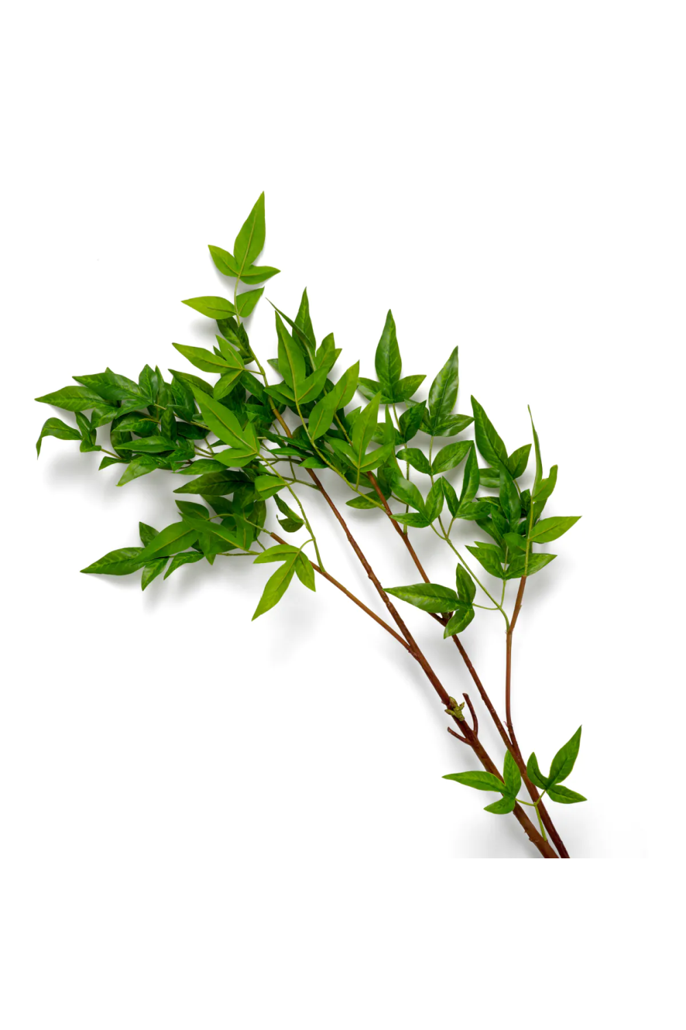 Faux Green Foliage (36) | Eichholtz Bundle of Tender Leaves | Oroa.com