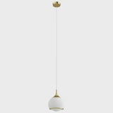 Gold Glass Integrated LED Pendant Light — canopy and suspension view