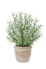 12" Rosemary & 16" Olive Faux Topiary (S/2) - OROA