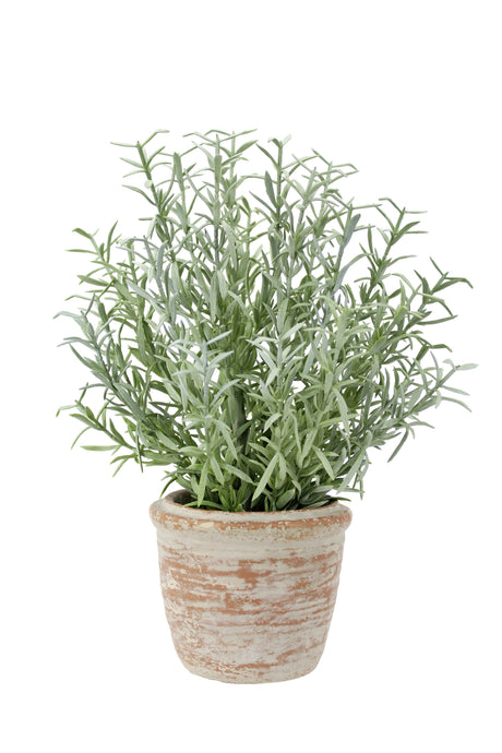 12" Rosemary & 16" Olive Faux Topiary (S/2) - OROA