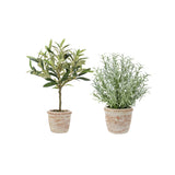 12" Rosemary & 16" Olive Faux Topiary (S/2) - OROA