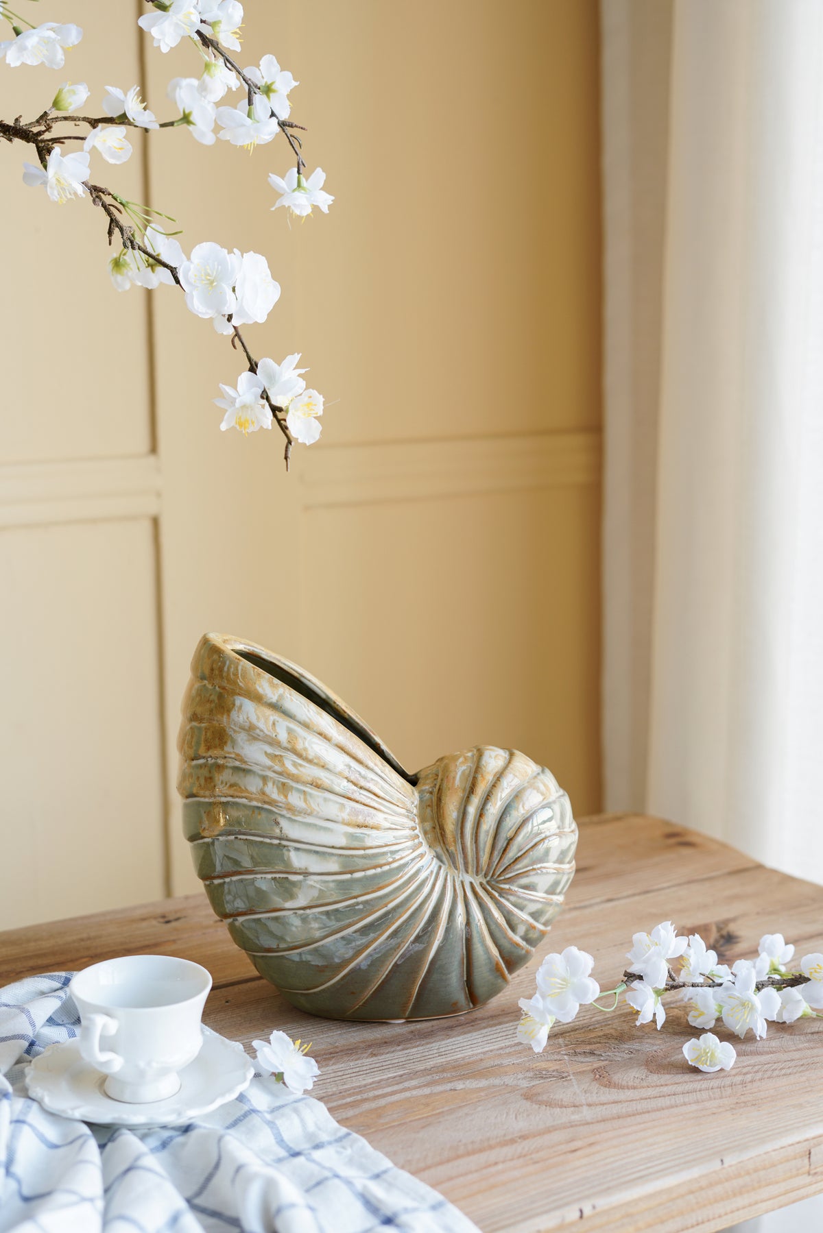 Hand-Glazed Nautilus Shell Planter | Catchy