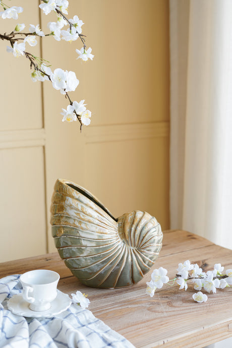 Hand-Glazed Nautilus Shell Planter | Catchy