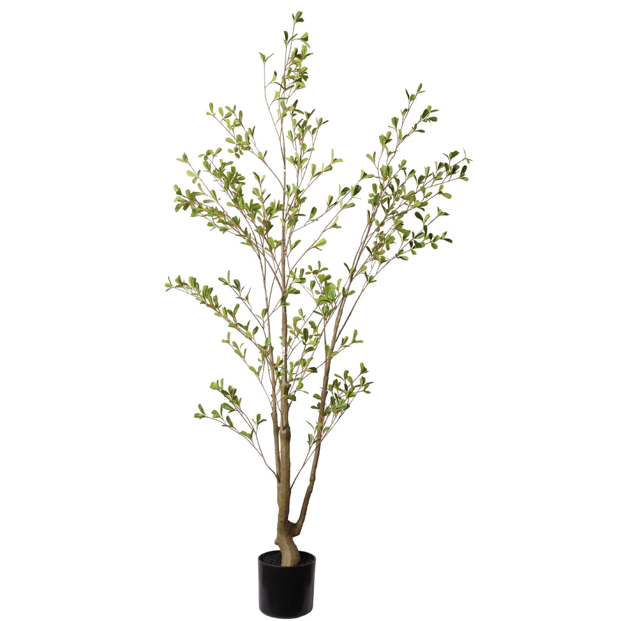 Silk Olive Tree  - Natural Look 60.0"H
