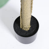 25813419