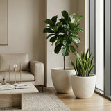 Round Concrete Planter (S/2), Large Outdoor Indoor/Outdoor