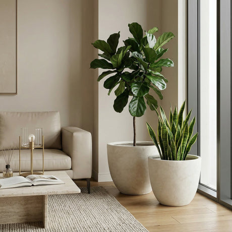 Round Concrete Planter (S/2), Large Outdoor Indoor/Outdoor