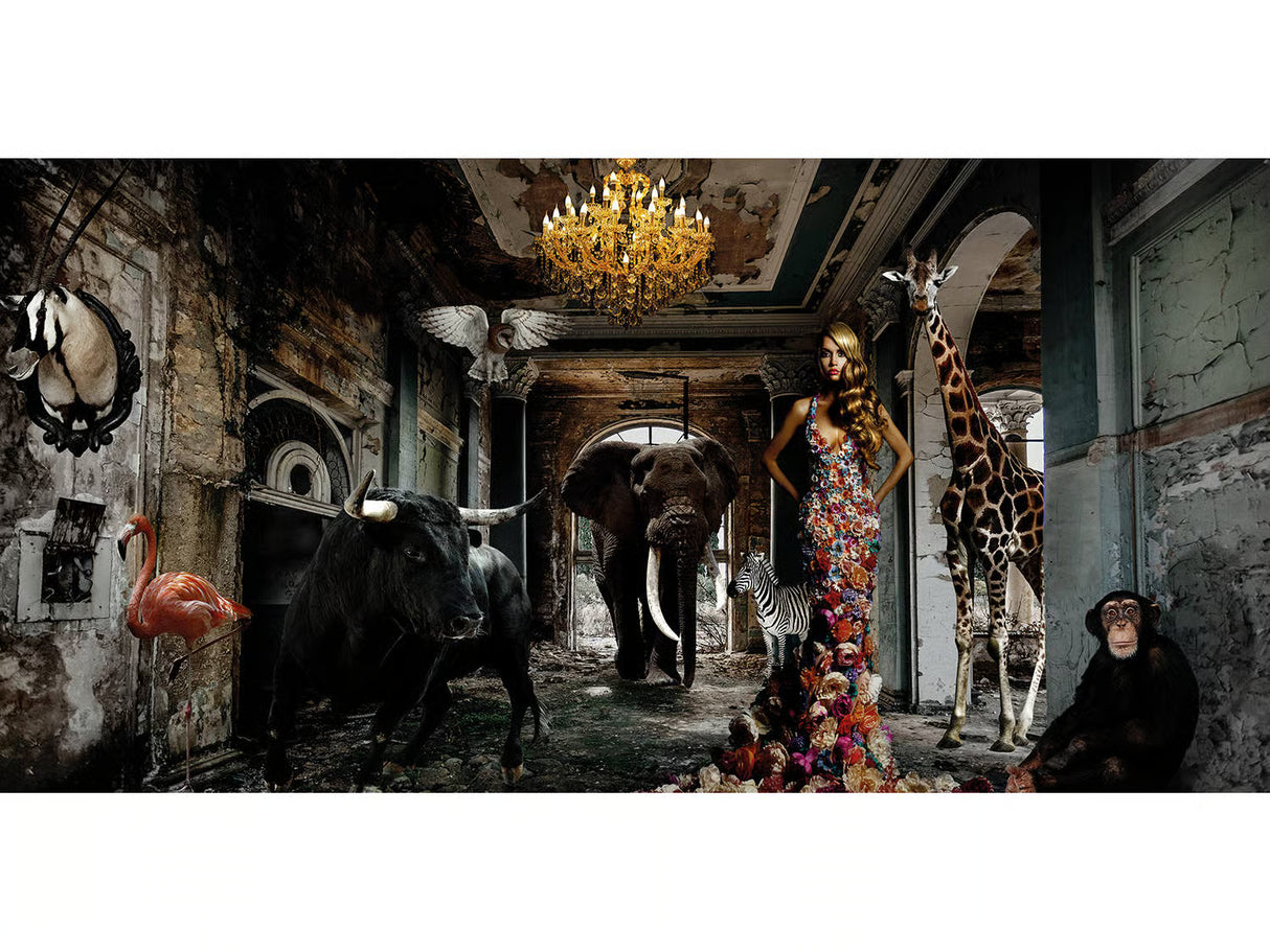   Woman with Animals Photographic Artwork | Oroa.com
