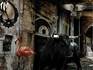  Woman with Animals Photographic Artwork | Oroa.com