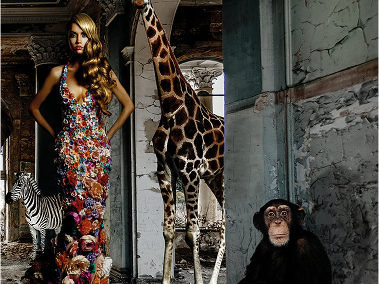   Woman with Animals Photographic Artwork | Oroa.com