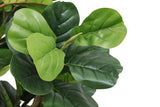 Banyan Tree Silk – Natural Look