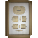Elegant Marble Bathroom Accessories Set - OROA (S/6)