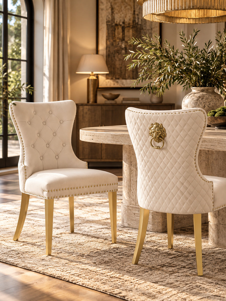Modern European furniture - Simba Traditional Style Dining Chairs (2) - www.oroa.com