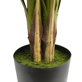 Modern European furniture - 71" Everlasting Palm Tree - www.oroa.com