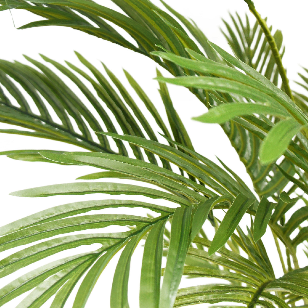Modern European furniture - 71" Everlasting Palm Tree - www.oroa.com