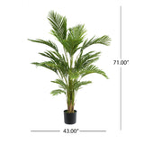 Modern European furniture - 71" Everlasting Palm Tree - www.oroa.com