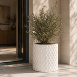 Antique White Round Planter | OROA