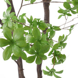 Artificial Disc Leaf Tree | OROA