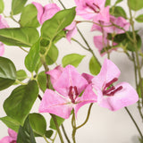 Artificial Bougainvillea Tree - Natural Look