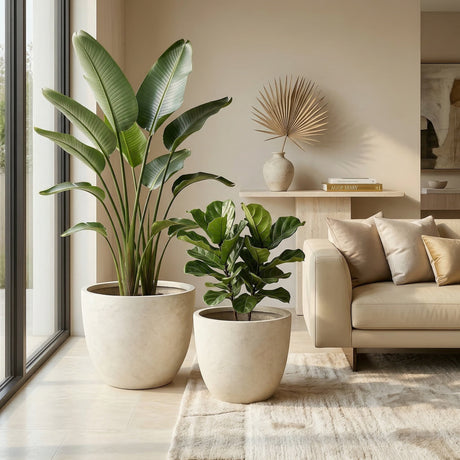 Round Concrete Planter (S/2), Large Outdoor Indoor/Outdoor