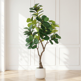 Potted plant in a room with white paneled walls