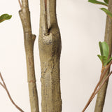 Silk Olive Tree  - Natural Look 60.0"H