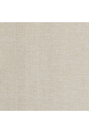 Rattan Look Outdoor Dining Chair | Eichholtz Nolan | Oroa.com