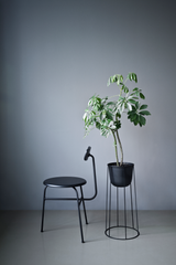 Short-Back Oak Dining Chair | Audo Copenhagen Afteroom