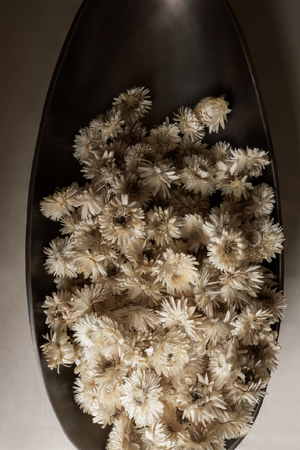 Brown Bronzed Centerpiece | Audi Copenhagen Pavot | Oroa.com