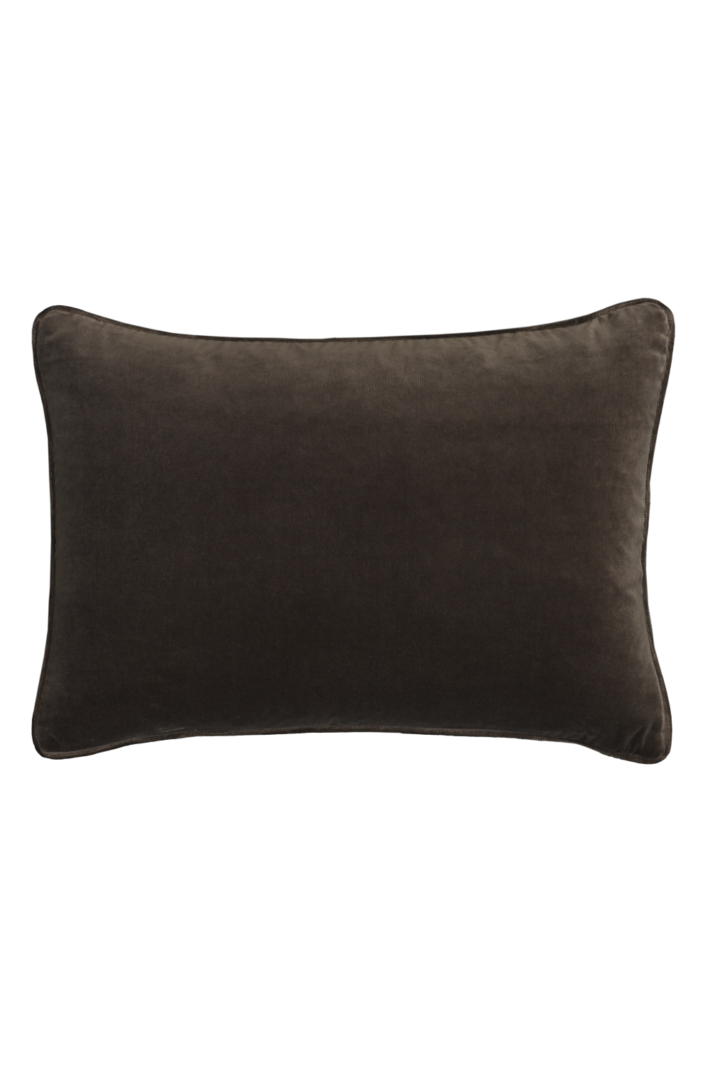 Cotton Velvet Rectangular Cushion | Andrew Martin Medici
